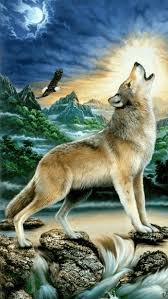 Log In Wolf Artwork Wolf Craft Wolf Love