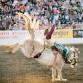 REDDING RODEO 2025