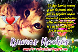 Https Encrypted Tbn0 Gstatic Com Images Q Tbn And9gcsh7dq8mvoka8oqtdmc2rbfmcrfnqkeckp Wq Usqp Cau