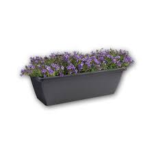 We did not find results for: Window Boxes On Sale In Ireland At Lowest Online Pricing Shop Now