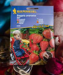 Bezpłatne również do użytku komercyjnego bez konieczności podawania autora bez praw autorskich. Truskawka Elan Sklep Zielone Pogotowie
