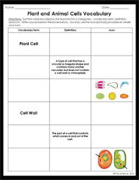 A member of kingdom animalia animal an animal that has a backbone; Plant And Animal Cells Vocabulary Sort By The Science Duo Tpt