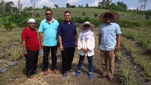 Teh herba peneroka felda, segamat. Wiltro Hashtag On Twitter