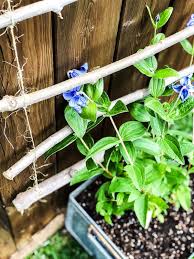 Check spelling or type a new query. Diy Hanging Garden Trellis A Pretty Life In The Suburbs