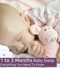 We did not find results for: 1 To 3 Month Old Baby Sleep Everything You Need To Know