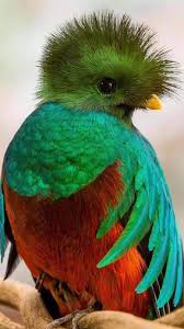 Maybe you would like to learn more about one of these? Paisajes Bellezas De Guatemala Home Facebook
