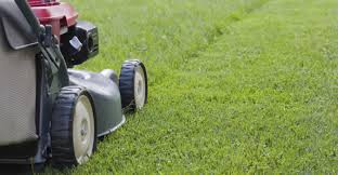 We've been serving the arlington area for many arlington mowing pros offers numerous types of mowing and landscaping services to best fit a thick blanket of leaves left on your lawn presents several threats to the overall health of your landscape. Lawn Mowing Arlington Tx Chop Chop Landscaping Arlington Tx