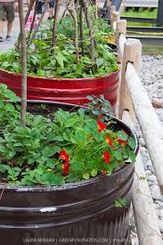 Edible Container Garden Greenfuse Photos Garden Farm Food Photography Vegetable Garden Planning Organic Vegetable Garden Backyard Vegetable Gardens