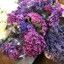 Wild flowers of zion and bryce canyon national parks and cedar breaks national monument (english) (as author) allen, lewis. Photos At Mid Atlantic Flowers Wholesale Alexandria Va