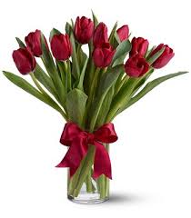 Chicago, il evanston, il melrose park, il oak park, il arlington heights, il hoffman estates, il lake forest, il des plaines, il elk grove village, il elmhurst, il. Send Flowers To Dallas Tx With Roses And More Your Best Florist In Dallas Tx