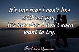 I am willing to risk everything i have just to be with you. It S Not That I Can T Live Without You It S Just That I Don T Even Want To Try Purelovequotes