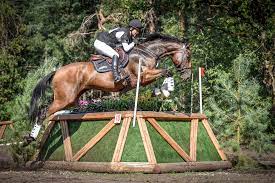 Made to protect the horse from obstacles that won't fall down, these boots feature a strike plate in the front or back portion of the boot. Dutch Open Eventing Home Facebook