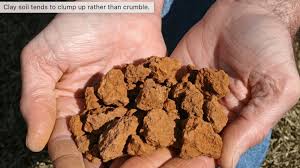 Clay soils tend to warm up more slowly in the spring and are harder to till than loam soil. How To Improve Clay Soil And Poor Garden Drainage Dengarden