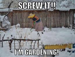 I Totally Understand Lol This Is Certainly How It Was This Year Geez I Thought Winter Would Never End Gardening Quotes Funny Gardening Humor Winter Garden