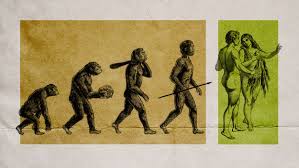 How many years bc was adam and eve? What If We Don T Have To Choose Between Evolution And Adam And E Christianity Today