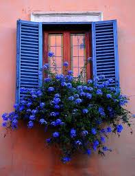 Ventana Con Flores Azules Vista Www Agua Casa Es Janelas Lindas Portas De Jardim