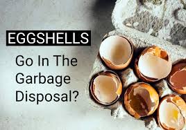 Can You Put Eggshells In The Garbage Disposal Egg Shells Cooking Inspiration Food Preparation