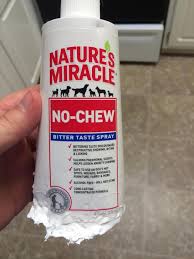 A Bottle Of No Chew Dog Spray I Wonder If This Stuff Works Realfunny
