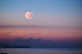 O lista completa de articole ce au eticheta luna roz | pagina 1. Superluna Roz Fenomenul Spectaculos Va Putea Fi Observat La Noapte