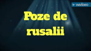 Bugetarii se vor bucura de o nouă minivacanţă în weekend, când creştinii sărbătoresc rusaliile. Poze De Rusalii Youtube