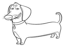 Red cat lies on a bed. The Secret Life Of Pets Coloring Pages Print Them For Free