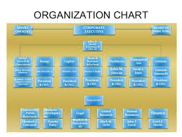 13 6 Organization Chart Ge Org Chart Bedowntowndaytona Com