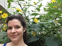 Possible reasons for pesticide properties in Jerusalem artichoke