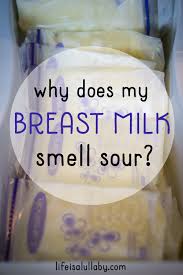How do i get my breast milk back after stopping? Why Does My Breast Milk Smell Sour The Best Ideas For Kids
