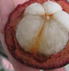 Medical & scientific research about nhc® mangosteen's amazing health benefits & uses. Saft Sells Mangostan Wundermittel Oder Kundennepp Die Fragwurdige Gesundheits Pr Fur Mangostan Saft Wissenswerkstatt
