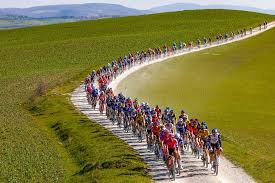 Image result for Bianco 1995 Fleet