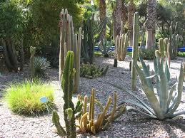 See 39 reviews, articles, and 31 photos of botanical garden (botanischer garten), ranked no.33 on tripadvisor among 213 things to do near botanical garden (botanischer garten). Jardin Majorelle Botanischer Garten In Marrakesch Sehenswurdigkeiten Auf Marrakesch Com