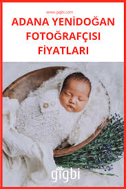 en iyi 12 adana bebek fotografcisi fiyatlari ve tavsiyeleri bebek fotografcisi bebek ayi
