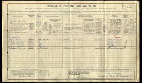 Lives of the First World War