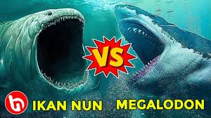 يونس) adalah salah seorang nabi yang dinisbatkan kepada bani israel. Ikan Nun Jauh Lebih Besar Dari Megalodon Mampukah Hiu Mengerikan Kalahkan Paus Terbesar Di Dunia Youtube