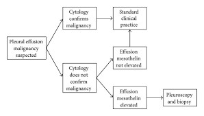 Suggested Diagnostic Flowchart Suggested Clinical Role Of