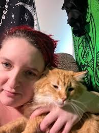 Southern Sweets Sale in Hannibal, MO, with Peach Cobbler and Sweet Potato  Pie