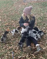 Check spelling or type a new query. Versatiless Puppies For Sale