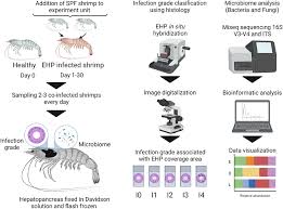 Image result for Enteropogon sechellensis