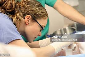 12 Alexandra Seay Photos & High Res Pictures