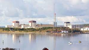 Ringhals or ringhalses [afrik, obs. Swedish Parliament Rejects Ringhals Restart By One Vote Nuclear Policies World Nuclear News