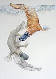 Janet Matthews Platypus Underwaterdance 42h28w Australian Native Animals Animal Paintings Puzzle Art