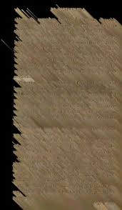 Image result for Aneilema dispermum