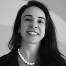 The Belt and Road Initiative: views from Brazil and other partners