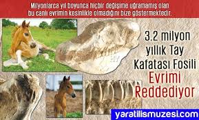 Yaratilis Atlasi Adnan Oktar Atlas Fosil Evrim Yaratilis Arafom Harun Yahya Http Adnanoktar Com Yaratilis Atlasi Fosiller Taylar Evrim