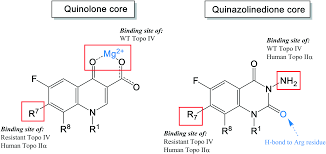 Quinolone Antibiotics Medchemcomm Rsc Publishing