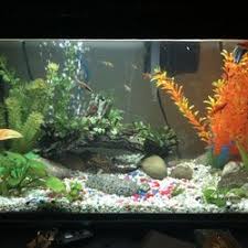 Created by a passionate hobbyist, holger windeløv and pushed into the future by a dedicated corporate group, jps clemens, tropica aquarium plants now services a global community of aquarists. Top 10 Best Aquarium Store In Vancouver Bc Last Updated February 2021 Yelp