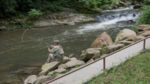 Nc Trout Fishing Upper Nantahala River Gorge Fishing