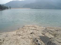 春来芽开 四明十二雷新茶3月18日正式上市 农夫日记 团队走 遍了整个宁波 今天来到了宁波顶级茶叶 四明十二雷 产地 作为浙江省名茶代表之一 茶叶抽芽节节高呢 在老总的带领下 我们来到依山傍水的茶园基地 这里山青青天蓝蓝 还有一池湖泊在荡漾 茶叶抽芽了