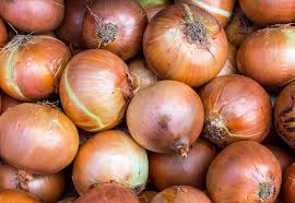 Many gardeners plant onions from sets. How To Grow Onions Part 1 Msu Extension
