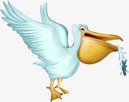 Sea Bird With Big Mouth Pelican Pelican Art Image Clip Art